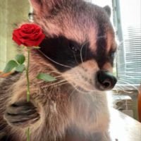 ᵗʰᵃᵗᵒⁿᵉ_ᵏᵃʸˡᵉᵉ